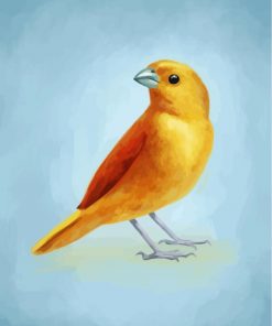 domestic-canary-bird-paint-by-numbers