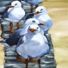 flock-of-seagulls-paint-by-numbers