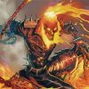 Ghost Rider Fire Paint by numbers