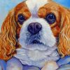 king-charles-paint-by-numbers