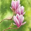 pink-magnolias-paint-by-numbers