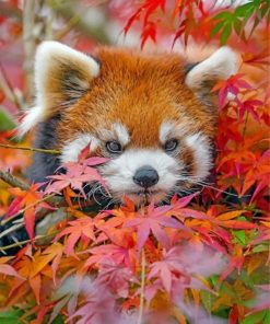 red-panda-and-leaves-paint-by-numbers