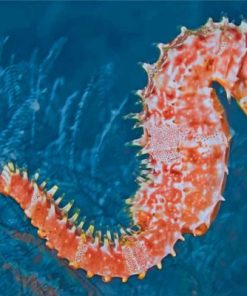 Seahorse Paint by numbers