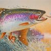 Rainbow Trout Fish Paint by numbers