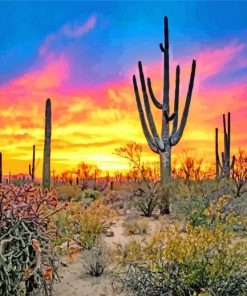 Sunset Saguaro National Park Tucson paint by numbers