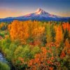 Oregon Mt Hood Fall paint by numbers