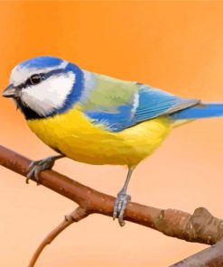 Beautiful Blue tit Bird Paint By Number