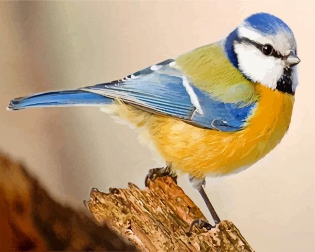Blue Tit Bird Standing On a Tree Paint By Number