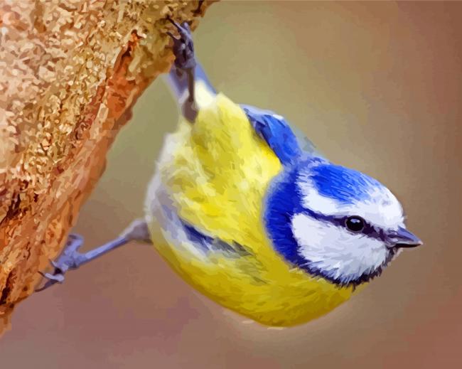 Eurasian Blue Tit Bird Paint By Number