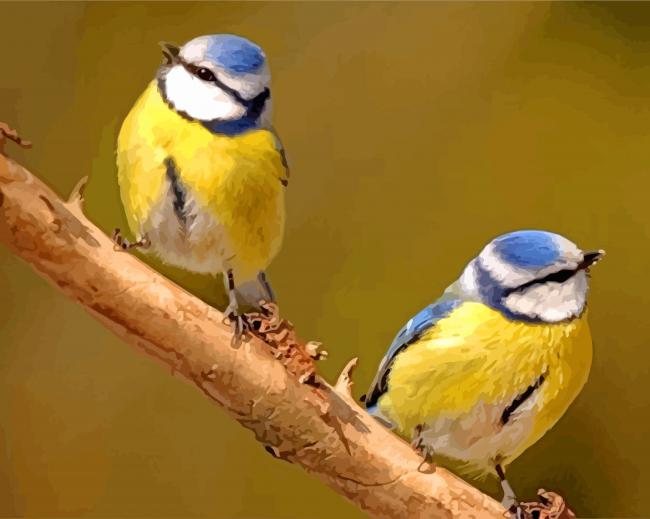 Eurasian Blue tit Birds Paint By Number
