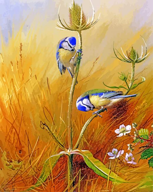 Blue tit Birds On A Teasel Paint By Number