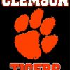 Clemson Tigers Football Logo Paint By Number