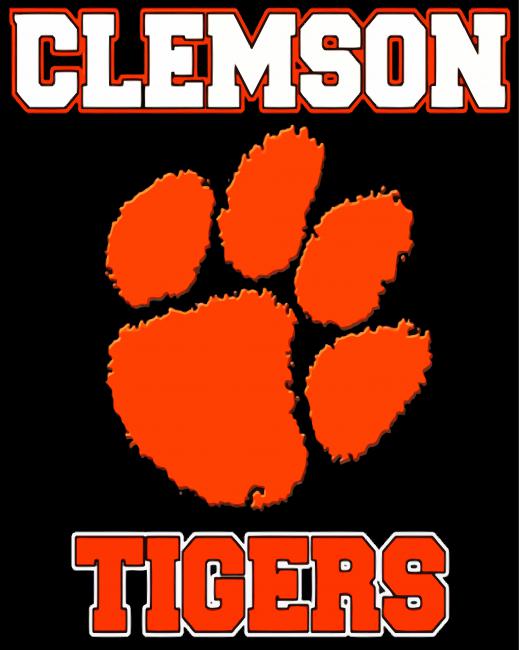Clemson Tigers Football Logo Paint By Number