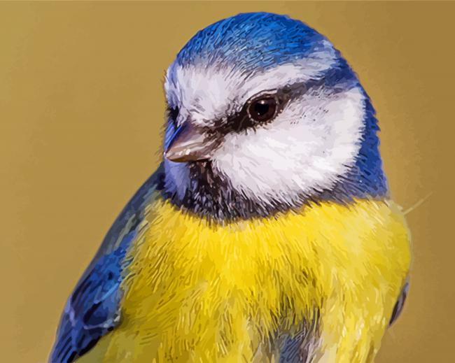 Close Up Blue tit Bird Paint By Number
