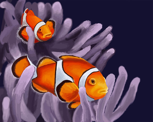 clownfish paint by number