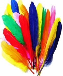 Colorful Feathers Paint By Numbers