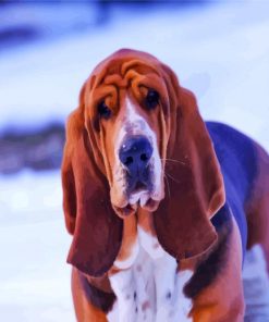 Cute Bloodhound In Snow paint by number