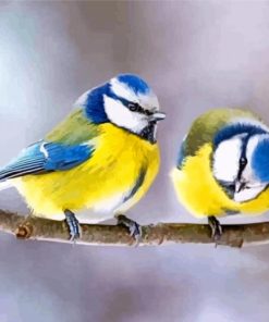 Cute Blue tit Birds On A Branch Paint By Number