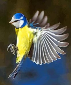 Flying Blue tit Bird Paint By Number