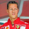 Michael Schumacher Formula One Driver Paint By Number