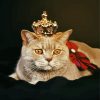 Royal Cat Pet Paint By Number