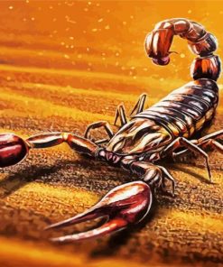 Brown Desert Scorpion Paint By Number