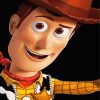 Sheriff Woody Character Paint By Numbers