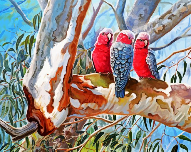 The Galah Cockatoo Paint By Numbers