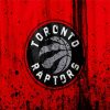 Toronto Raptors Logo Paint By Number