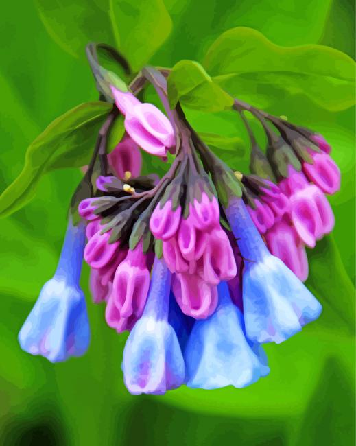 Virginia Bluebell Flowers Paint By Number