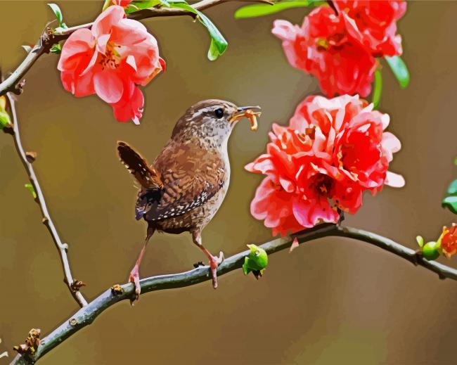 Wren On Flowers Branch Paint By Numbers
