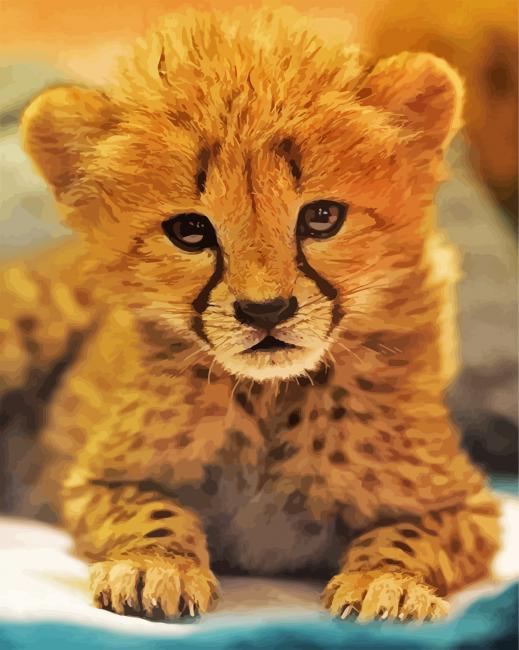 Adorable Cheetah paint by number