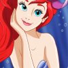 Ariel paint by number