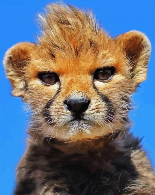 Baby Cheetah paint by number