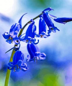Aesthetic Bluebells Flower Paint By Number
