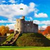 Cardiff Castle paint by number