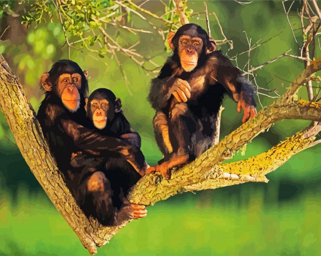 Chimpanzee Famiily paint by number