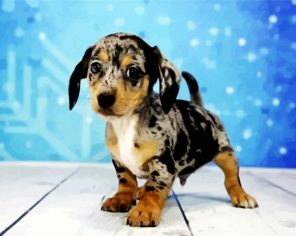 Chiweenie Puppy Paint By Number