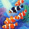 Clownfish And Reef Paint By Numbers