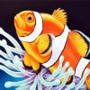 Lone Clownfish Paint By Numbers
