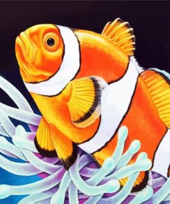 Lone Clownfish Paint By Numbers