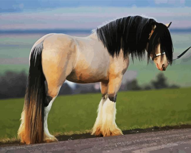 Clydesdale paint by number