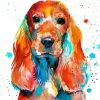 Colorful English Cocker Spaniel paint by number