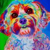 Colorful Cockapoo paint by number