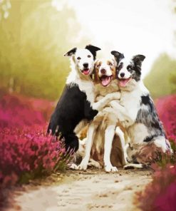 Cute Collies paint by number