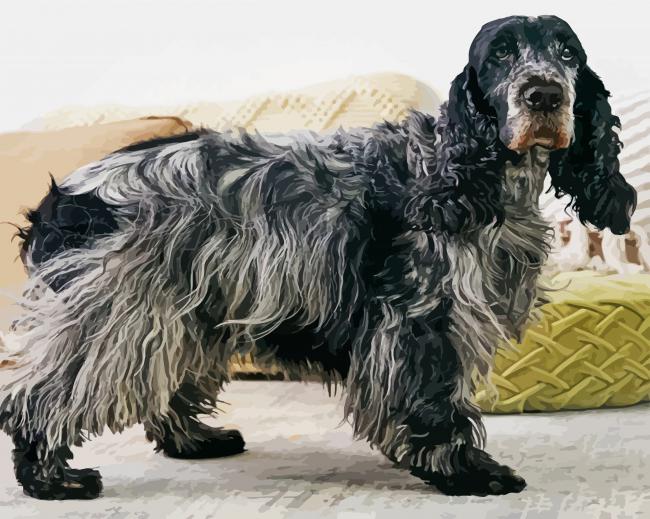 English Cocker Spaniel paint by number