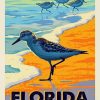 Florida Sea Birds - Paint By Number