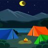 Night Camping paint by number