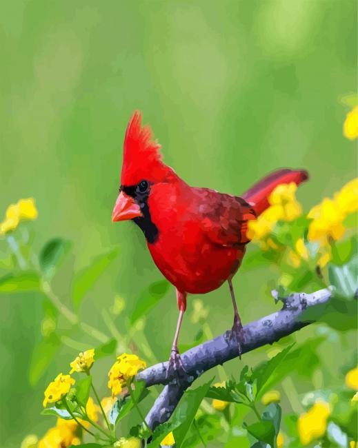 red-cardinal-bird-paint-by-numbers