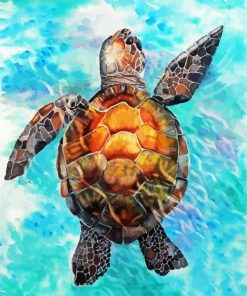 Sea Turtle paint by number